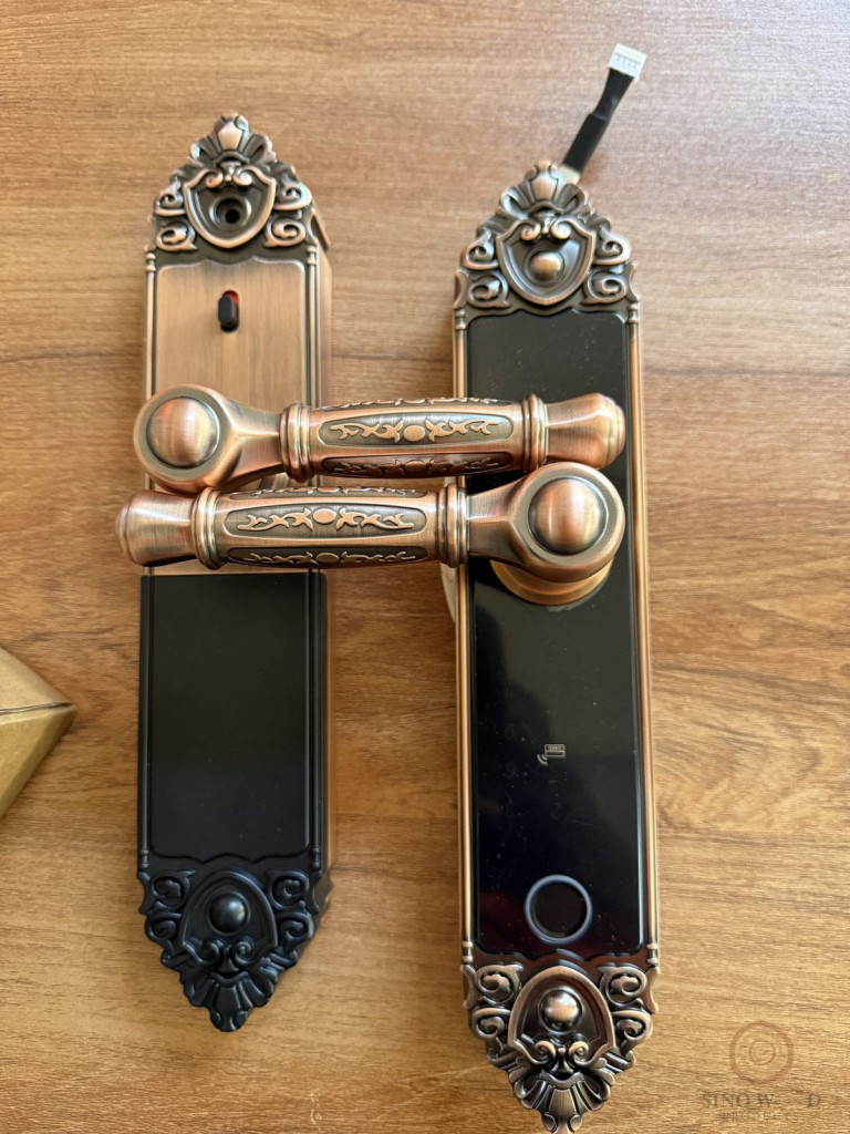 Antique Copper Lever Lock